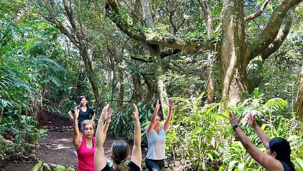 Un grupo de personas practicando yoga en un entorno al aire libre con árboles y follaje.