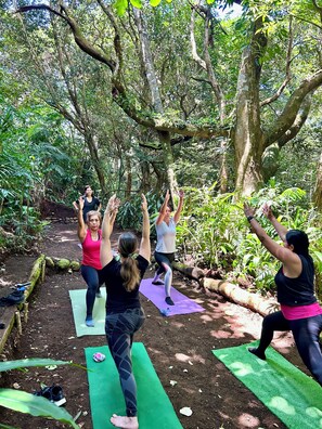 A group of people performing yoga in an outdoor setting with trees and greenery. - A beautiful mountain home in the paradise of Gosén where you can enjoy nature. (Heredia)