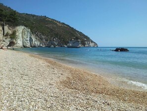 Playa en los alrededores y camastros 