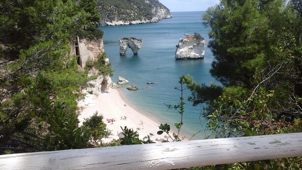 Vista costera con formaciones rocosas, una playa arenosa y abundante vegetación.