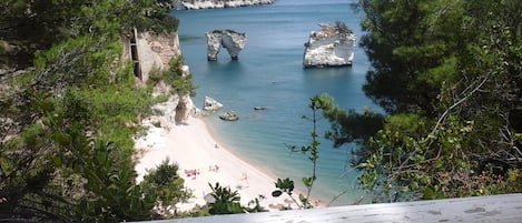 Playa en los alrededores y camastros 