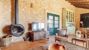 Een televisie, een open haard, een dvd-speler en boeken