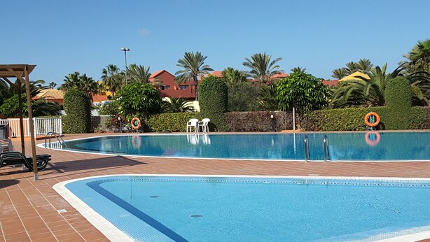 A rectangular swimming pool with a tiled deck, surrounded by palm trees and a hedge. - 60sq.m Roof Solarium, 50sq.m Rear Terrace: BBQ, Fibre WiFi, TV (BBC, SKY sports) (Corralejo)