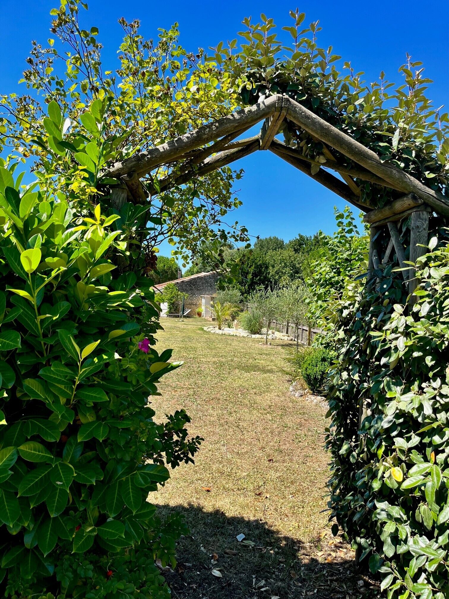 Jardines del alojamiento