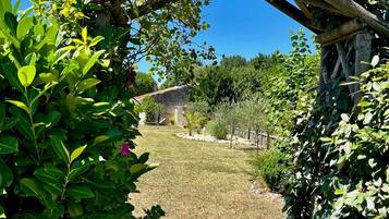 Jardines del alojamiento