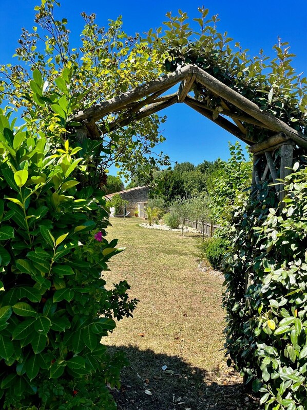 A garden with a wooden pergola structure, surrounded by lush green foliage and a clear blue sky.