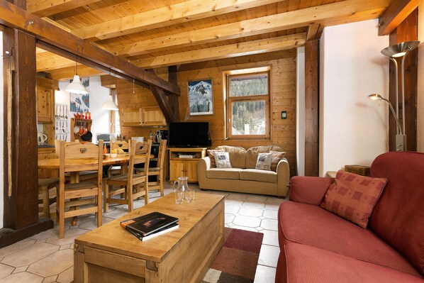 Smart TV, DVD player, books, video library