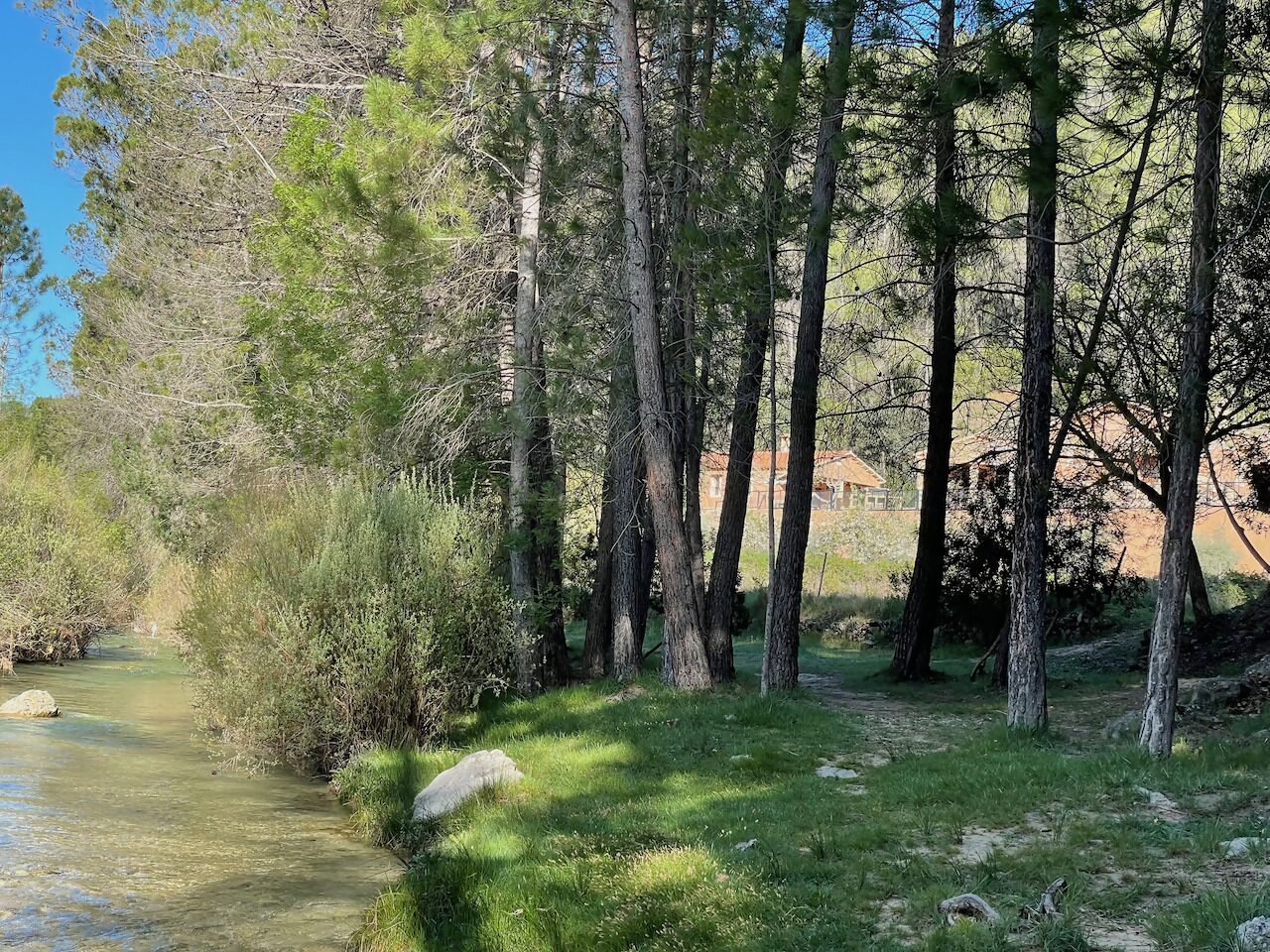A natural landscape with a river, trees, and a building in the background.