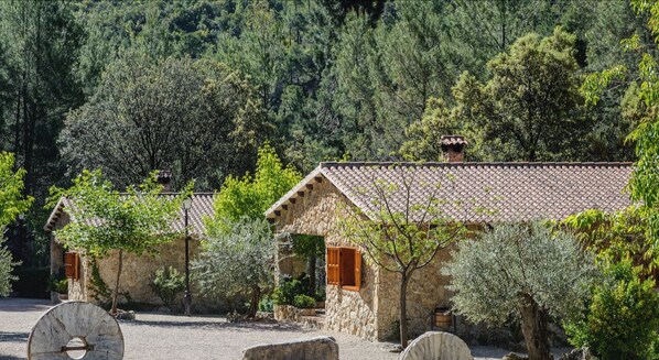 Jardines del alojamiento