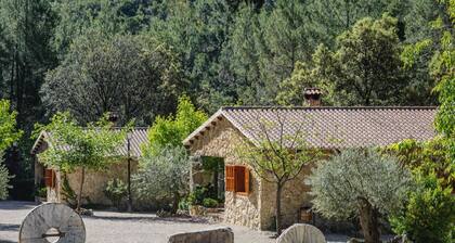 Kivitalo nº 3 4 hengelle, Batan Rio Tus