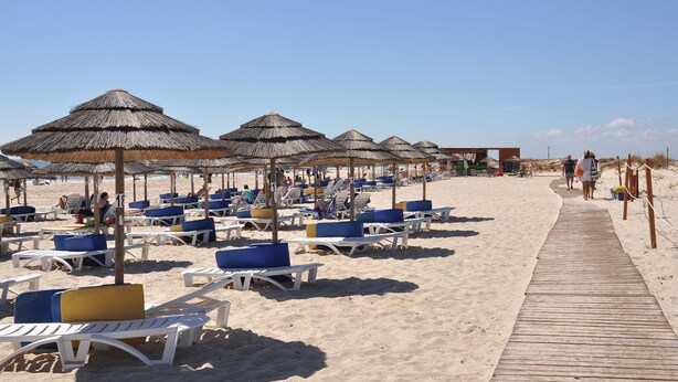 Ein Strand mit Liegestühlen, die unter Reetdächern in Reihen angeordnet sind, ein Holzsteg und ein klarer Himmel.