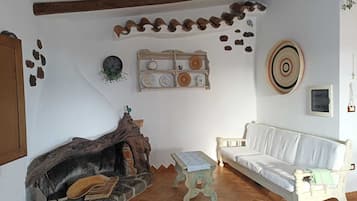 TV, caminetto, lettore DVD, libri