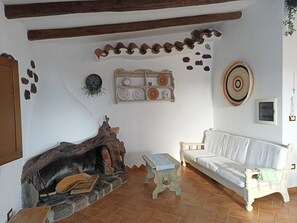 Télévision, cheminée, lecteur de DVD, livres