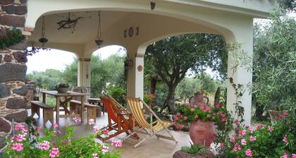 House / Villa - Orosei