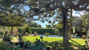 A garden with a pool, various potted plants, and a stone wall. - Calm, serene, secluded, stunning gardens, pool close to beach and all amenities  (Binibequer)