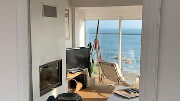 TV, fireplace, DVD player, books