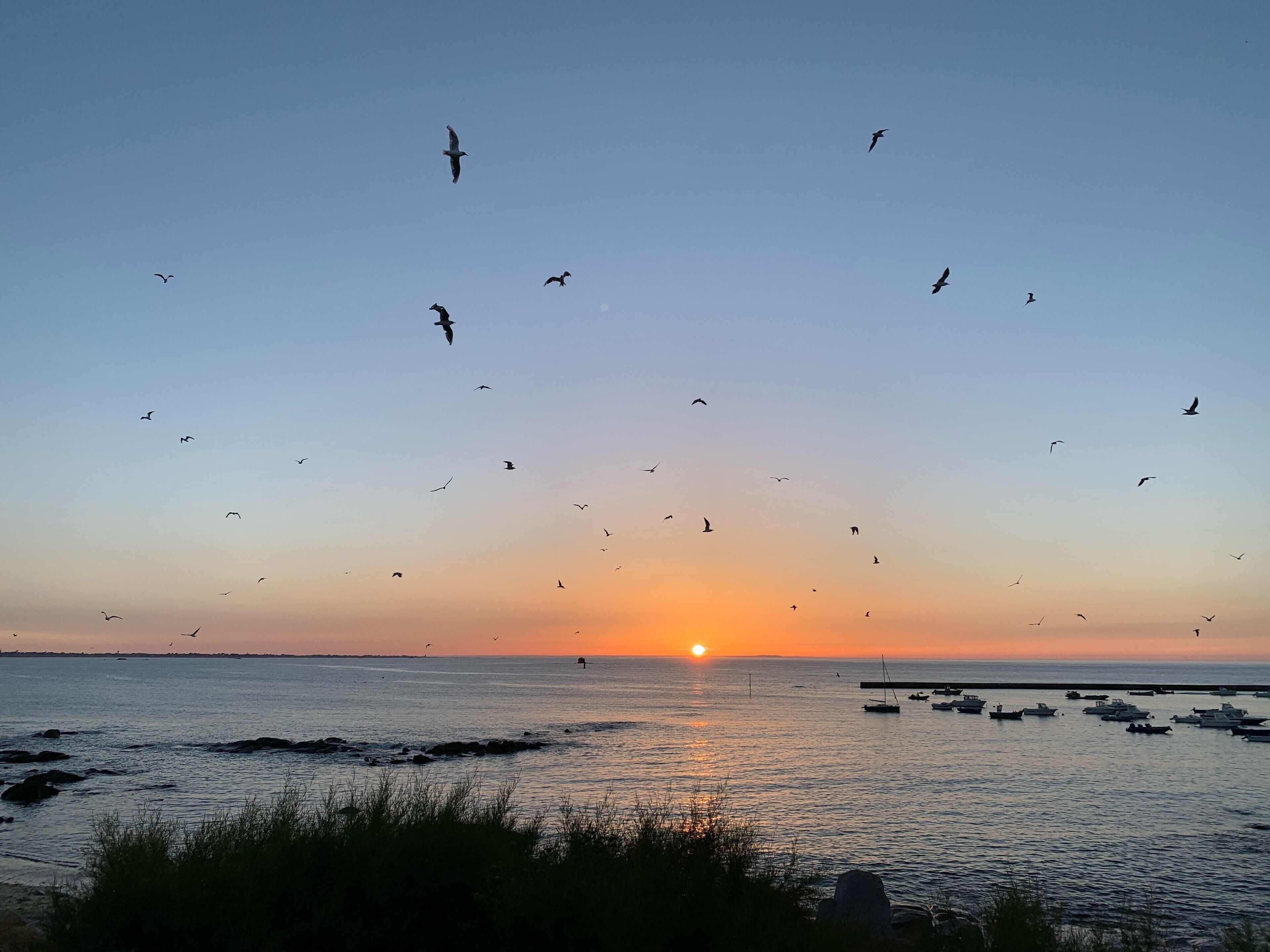 A sunset over a calm sea with boats and birds flying.