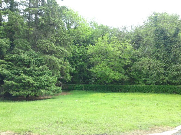 Een grasveld met een dichte boomrij in de verte.