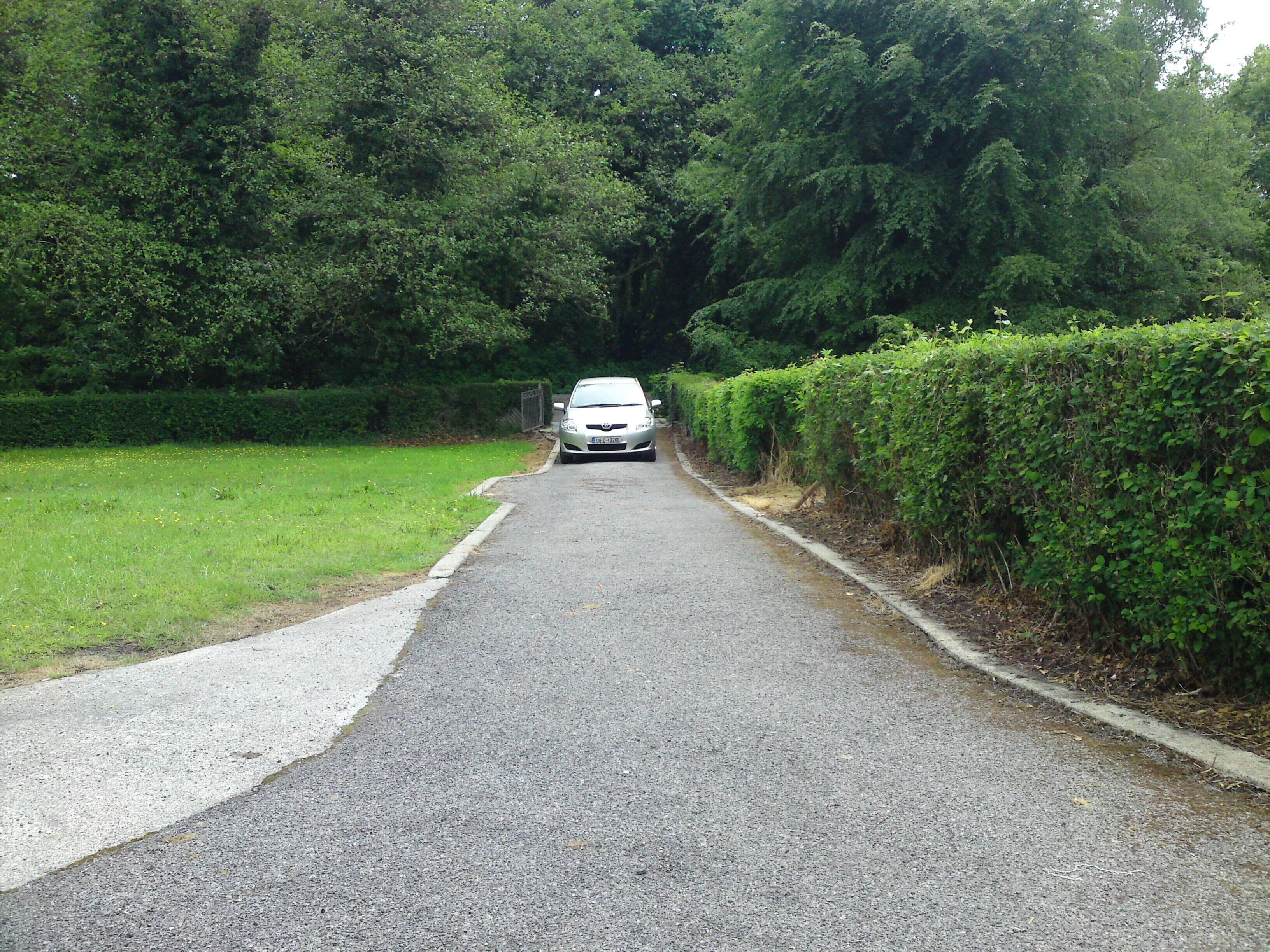 A narrow road flanked by dense greenery and a hedge on one side.