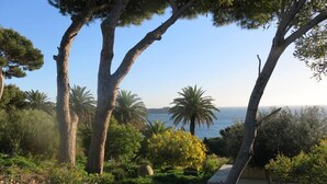 A coastal landscape with trees, a path, and a view of the sea. - Apartment/ flat - Hyères (Hyères)