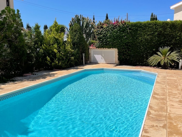 A rectangular swimming pool with clear blue water, surrounded by a tiled deck and various plants and trees.
