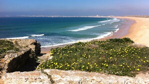 Un paysage côtier avec une plage de sable, des vagues de l’océan et des fleurs jaunes au premier plan.