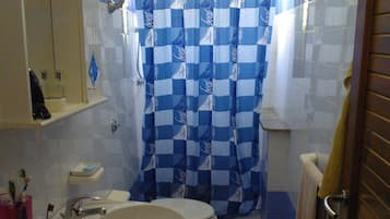 Shower, hair dryer