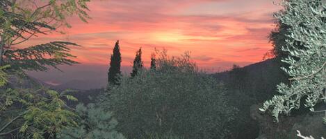 A sunset view with trees and a hill in the background.