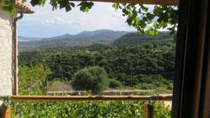Une vue depuis un balcon doté d’une balustrade en bois, donnant sur un vignoble et une vallée, avec des montagnes à l’horizon.