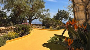 Un jardin aménagé avec un sentier jaune sinueux, diverses plantes et arbres.