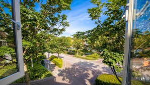A view from inside a building looking out onto a street lined with trees and a clear blue sky.