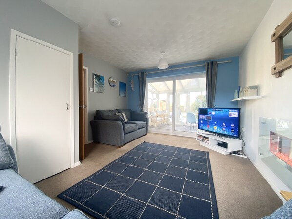 Smart TV, DVD player, books, video library