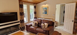 Smart TV, lareira, DVD player, livros