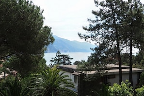 A coastal view with a building surrounded by trees and a body of water in the background.