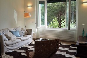 TV, fireplace, books