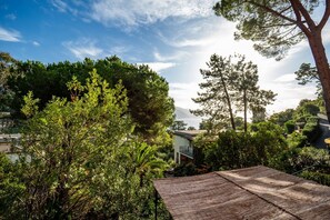 A residential area with a house, dense greenery, and a clear sky.