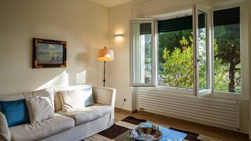 Tv, eldstad och böcker