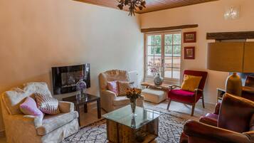 TV connectée, lecteur de DVD, livres, vidéothèque