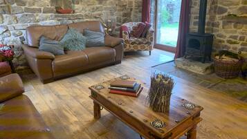 TV connectée, cheminée, lecteur de DVD, livres