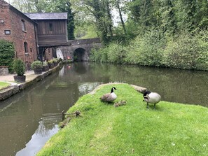 Parco della struttura