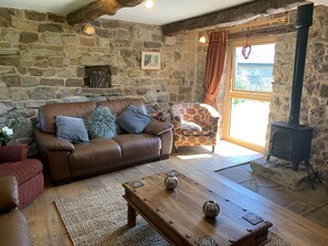 Smart TV, fireplace, DVD player, books