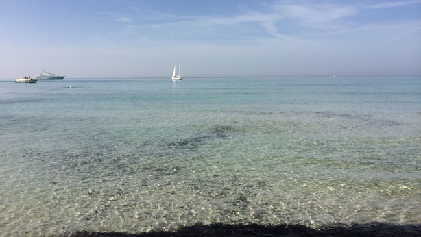 Vistes clares d'una platja amb aigües tranquil·les i un veler a la distància.