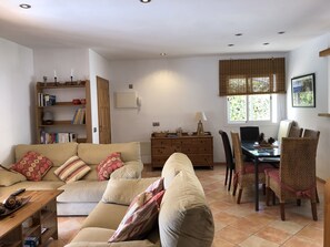 Smart TV, fireplace, ping pong, books