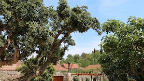 Un edificio de piedra con puerta de madera, rodeado de abundante vegetación y árboles.
