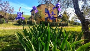 A house with a garden featuring purple flowers and green foliage. - Villa with pool in Tuscany, close to San Gimignano and Volterra  (Villamagna)