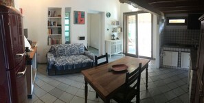 TV, fireplace, books