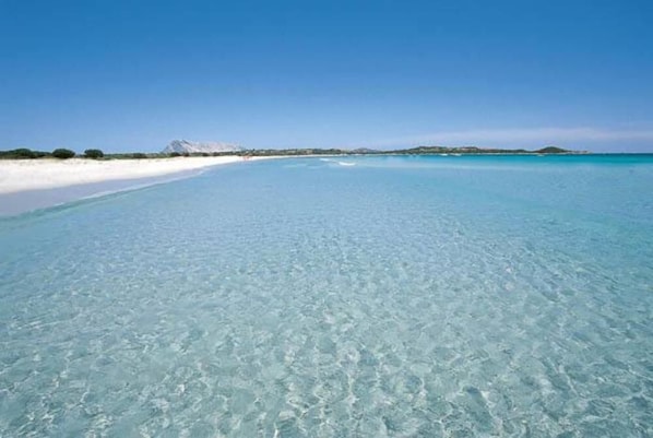 Beach - San Teodoro: House / Villa - San Teodoro (San Teodoro)