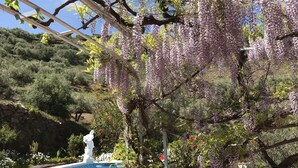 Un jardín con una pérgola, una fuente y una piscina.