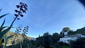 Un edificio blanco con techo plano, rodeado de vegetación y colinas al fondo.