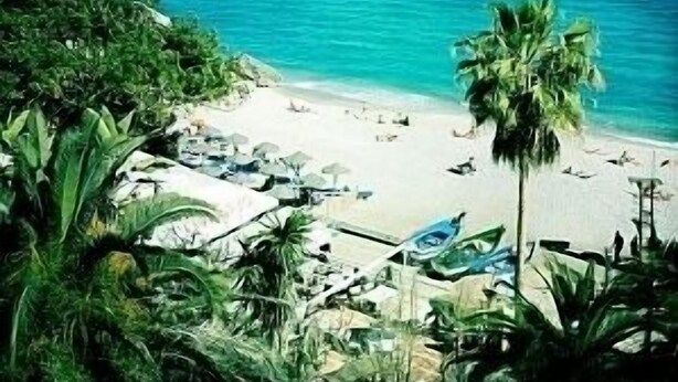 Una playa con agua turquesa cristalina, arena blanca y palmeras.
